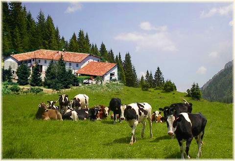 Scegli tra gli Agriturismo in Toscana la struttura che pi ti si addice, vacanze nel verde delle campagne senesi, le valli di Arezzo