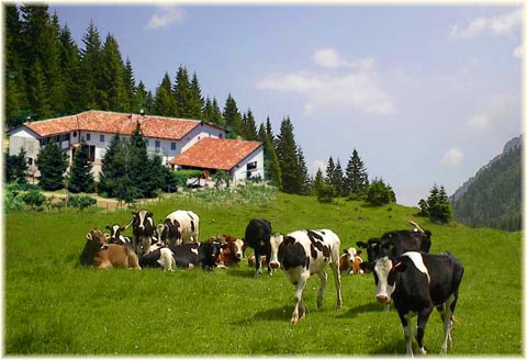 Scegli dove trasvcorrere la tua vacanza in Agriturismo Toscana