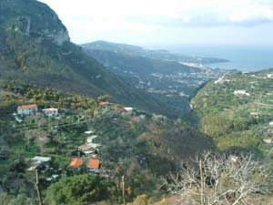 Vendesi terreno agricolo Sorrento